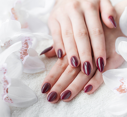 The Nail Salon